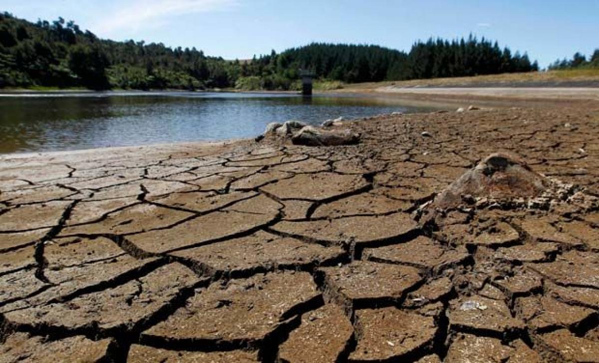 Action plan to ameliorate impact of drought in Bangaru Telangana
